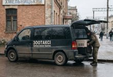 Таксі для тварин у Хмельницькому: правила перевезення та які служби викликати