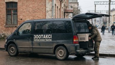 Таксі для тварин у Хмельницькому: правила перевезення та які служби викликати
